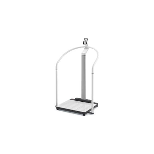 seca 654- Flat Scale with Handrail, EMR Ready