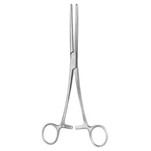 Rochester Pean Forceps- Curved, 20 cm