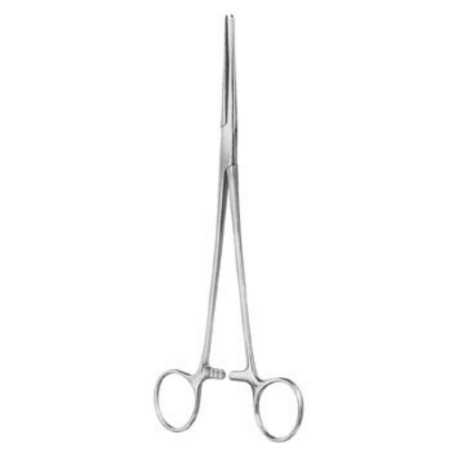 Roberts Artery Forceps Straight 22 CM