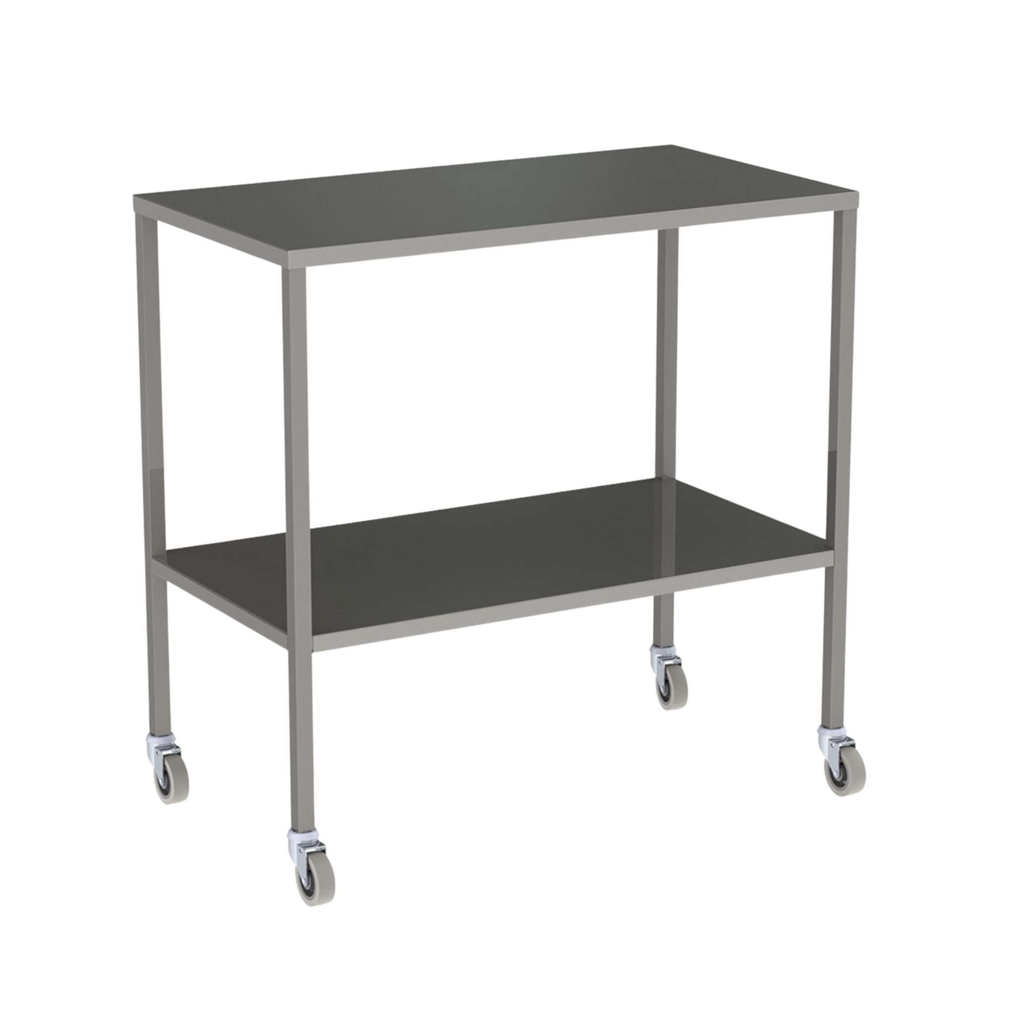 INSTRUMENT TROLLEY-1000 X 600X 900MM NO RAIL  S/S  2BR  SCDR