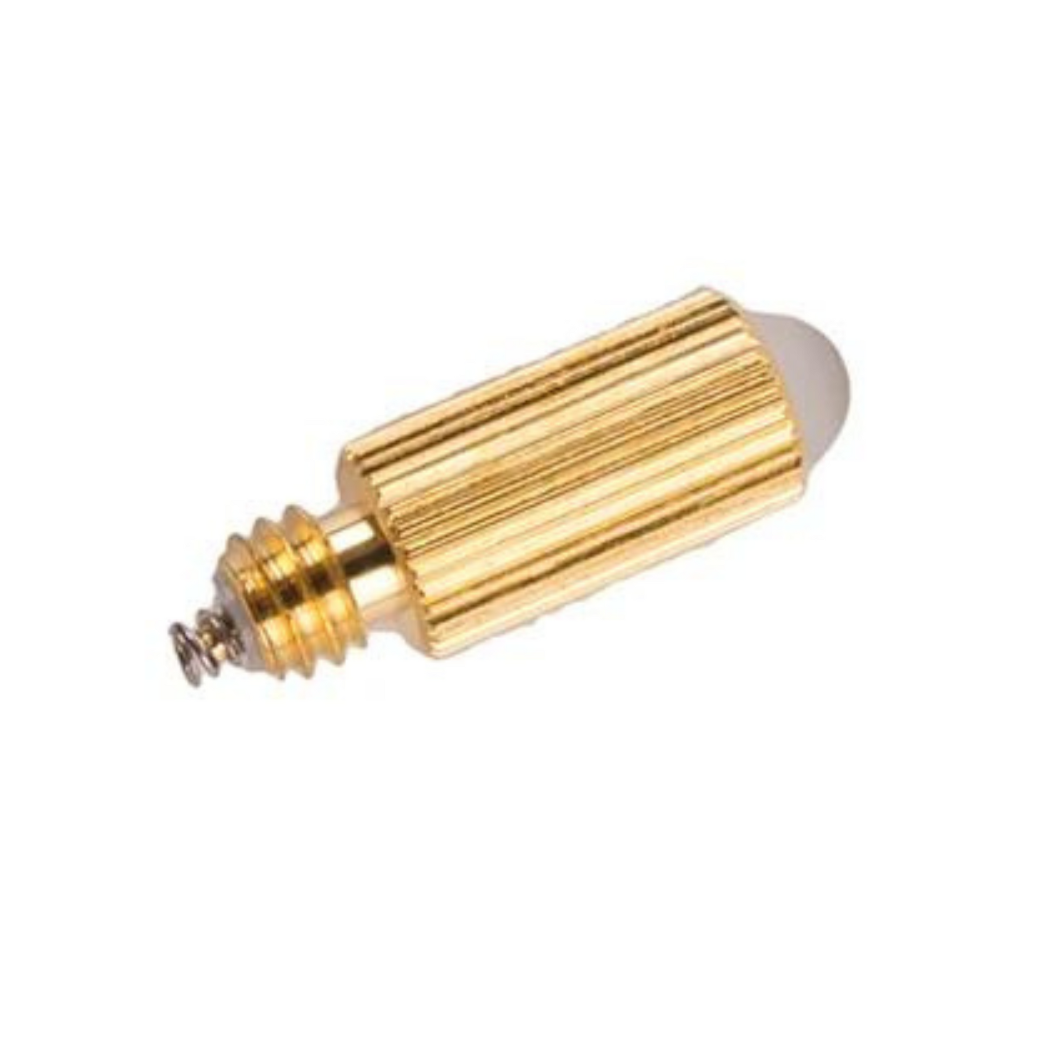FOREGGER CHILD 99-167 GLOBE