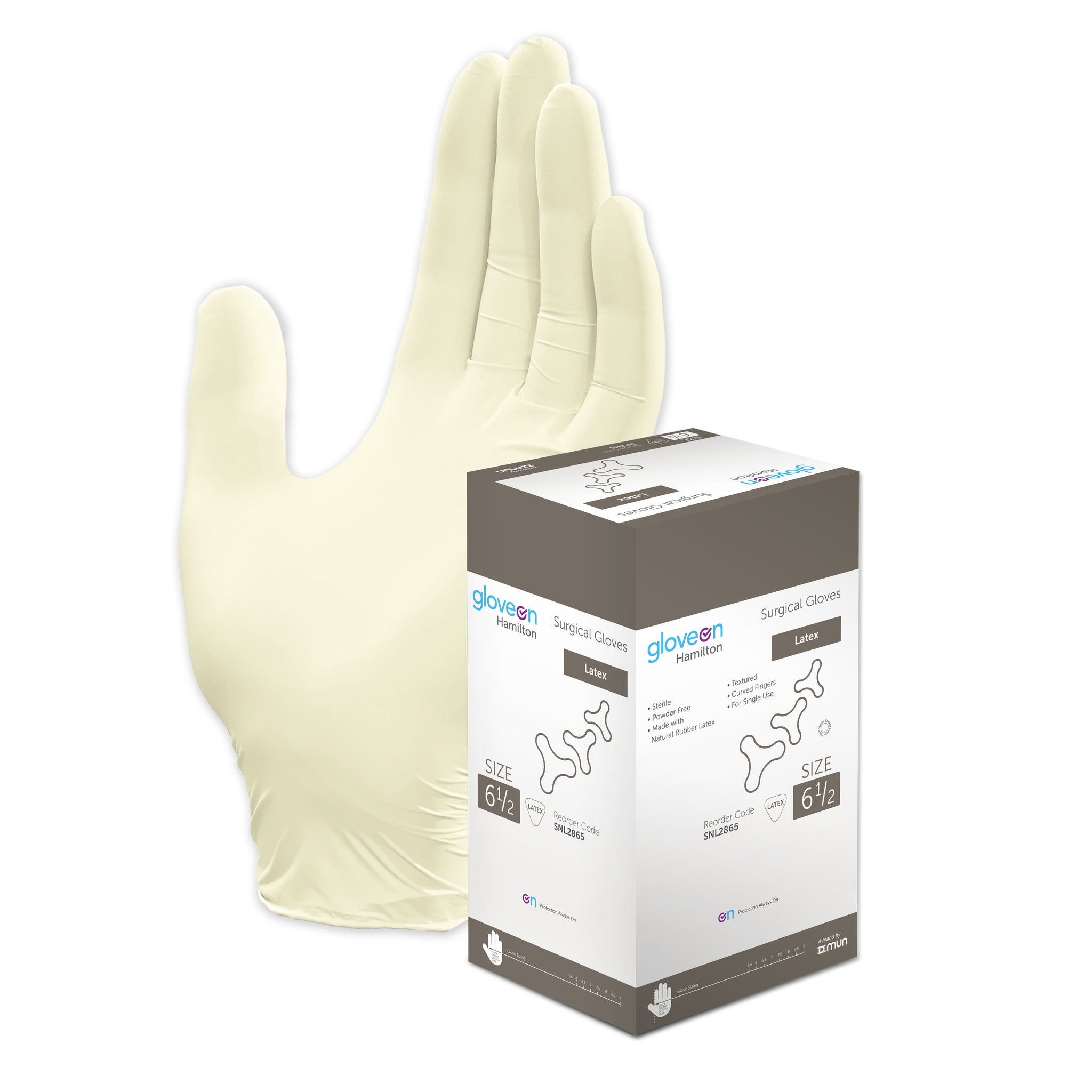 HAMILTON LATEX POWDER FREE, TEXTURED, CURVED FINGERS, STERILE, NATURAL COLOUR - BOX 100 SIZE 6.5