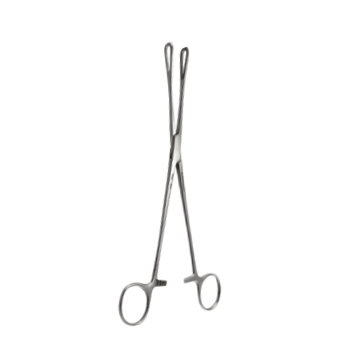 RAMPLEY SPONGE HOLDING FCPS 25CM – AxisHealth