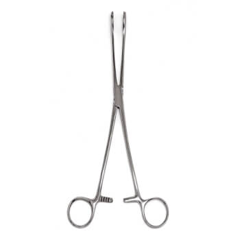 LIB FOERESTER 25CM STR. SPONGE FCP. – AxisHealth