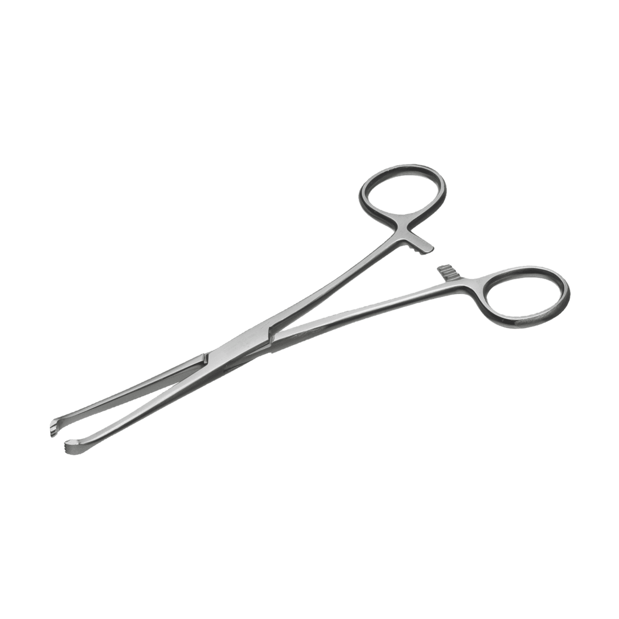 Allis (Waugh) Tissue Forceps- 15 cm 3X4T