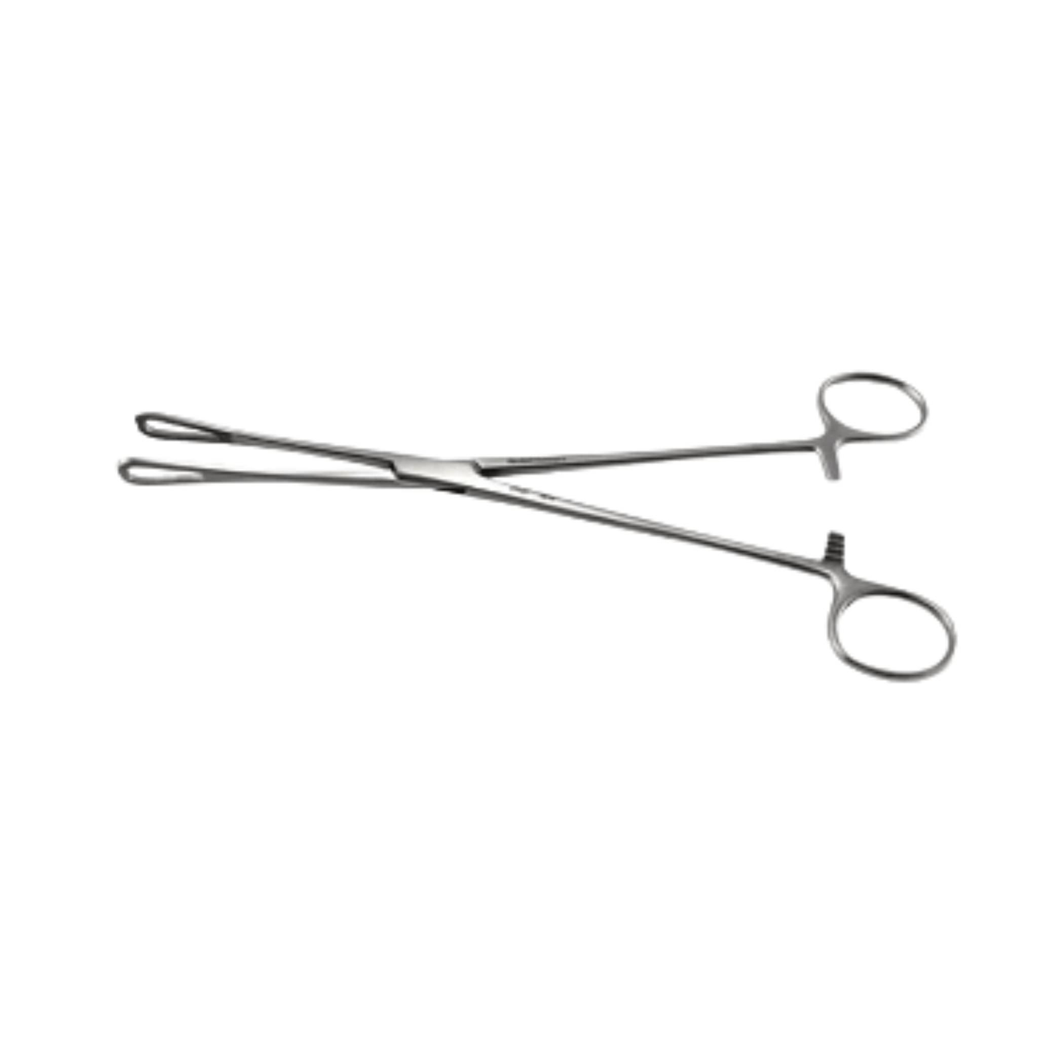 Rampleys Sponge Holding Forceps- 24 cm - 2